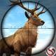 Animal hunters - Friv 2019 Games